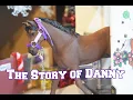 The Story of Danny - Schleich Horse Short Film Collaboration w TheAnimalArtist
