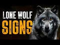 Download Lagu 10 Obvious Signs You're a Lone Wolf