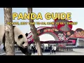 Chengdu Panda Base Guide Best Time to Go Tickets and What to Expect in Sichuan China