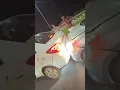 3 Cars accident at MARINE DRIVE patna