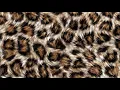 Seamless Leopard Print Youtube WM