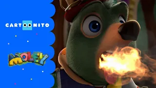 مولي افتتاح رائع فقرة كارتونيتو كرتون نتورك 