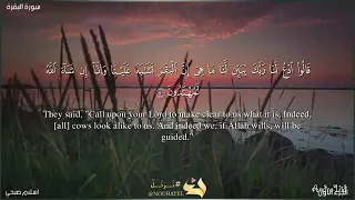 سورة البقرة صفحة 11 القارئ اسلام صبحي من الآية 70 الي الآية 76 يلا نحفظ قرآن كريم 