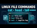 Linux File Viewing Commands for Beginners cat head tail less more