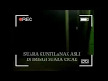 Download Lagu Suara Kuntilanak Asli di iringi suara cicak