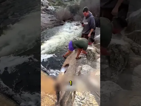 Ces garçons ont réussi à courir sur un mur 🤯🏃‍♂️