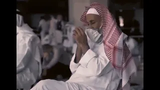 الشيخ ماهر المعيقلي   تلاوة وخشوع راحة للقلب          أ ي  ه م  ي ك ف ل  م ر ي م    دندنها