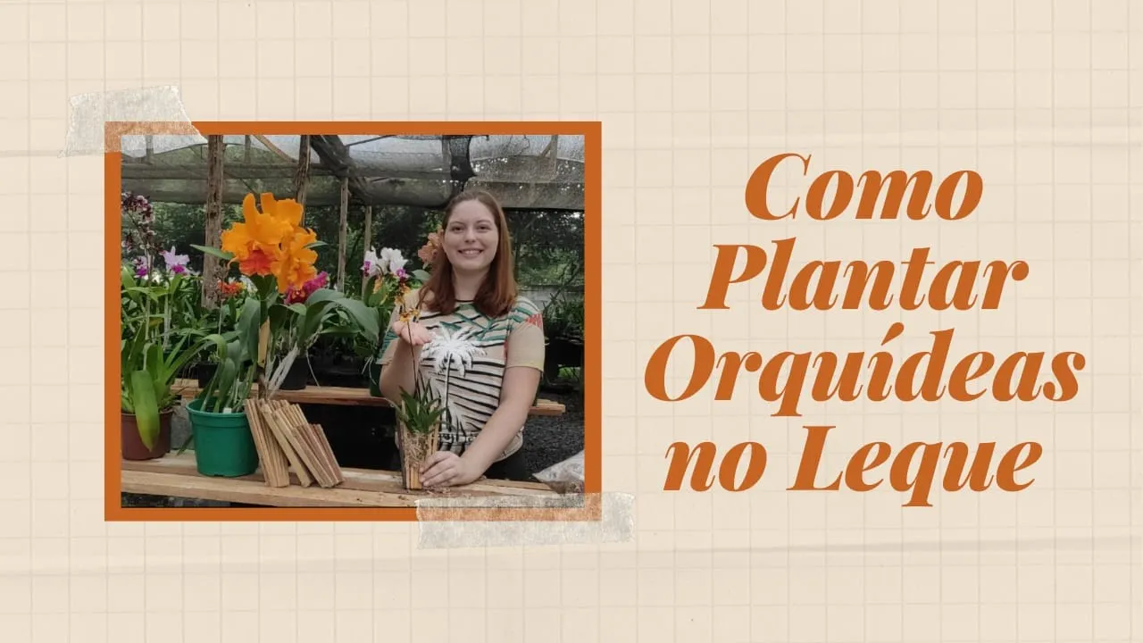 COMO PLANTAR ORQUÍDEAS NO LEQUE DE MADEIRA!!!