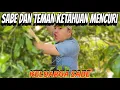 Download Lagu SABE DAN TEMAN TEMAN MENCURI😨 || KELUARGA SABE