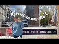 A WEEK IN MY LIFE Fall Semester at NYU
