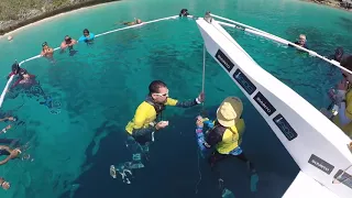 Freediving Record 116m In Free Immersion Continental Record For Walid Boudhiaf 