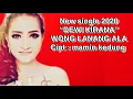 Lagu Wong Lanang aLa (dewi kirana 2020)
