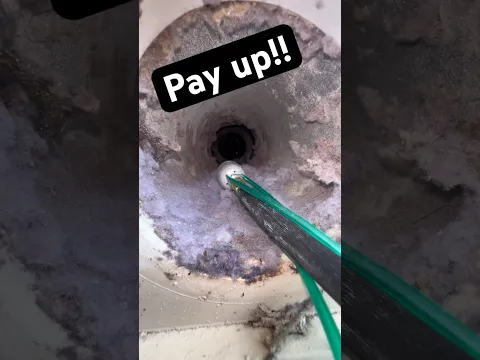 Who should pay? 🧐 #oddlysatisfying #cleaning