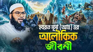হযরত মূসা (আঃ) এর অলৌকিক জীবনী । মাওলানা ইসমাঈল বুখারী কাশিয়ানী