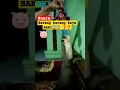 Download Lagu Suara hewan berang -berang kaya BABI🐷😱😱❓️‼️