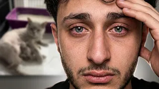 كل اولادها ماتوا بعملية | القطة شيخة ❤️‍🩹😣