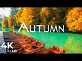 Download Lagu 4K Autumn Ambience \u0026 Fall Foliage🍁Fall Ambience🍁Enchanting Autumn Forests with Beautiful Piano Music