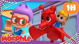 Cache-cache épique ! | Morphle en Français | Dessins Animés Pour Enfants