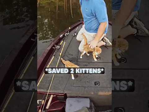 They SAVED 2 Small Kittens..