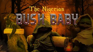 the bush baby egbere legend of the little monster in the nigerian forest