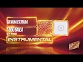 Silvana Estrada, M. Ward - Todo Baila (feat. M. Ward) (Instrumental)