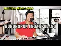 Download Lagu Live - BURUNGPUN INGAT PULANG (Nia Daniaty) Cover Budi Sinaga