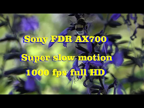 Download MP3 Super slow motion 1000 fps Sony FDR AX 700 🇳🇱