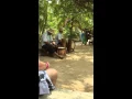Lagu Drums @ Tonga Village