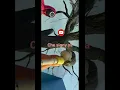 Download Lagu Squid game song koko ma ko che signy ya