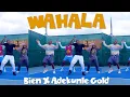 Download Lagu Bien, Adekunle Gold and ShineTTW - Wahala (Dance Video)