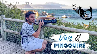 EP.109 – Nouvelles Voiles ⛵️ pour la Reine des Mers, entre pingouins 🐧 et verres de vin 🍷