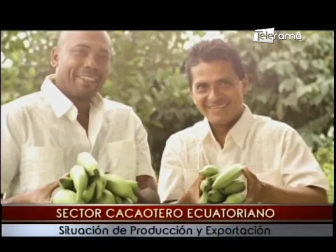 Sector cacaotero ecuatoriano situación de producción y exportación