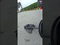 Download Lagu Tak perlu kau tau sengsaraku dijalan cukup kau tau senyumku disaat ku pulang