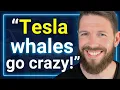 Download Lagu Wall Street Whales Now Uber Bullish On Tesla