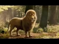 Download Lagu This is Home: Every Breath is Magic-Switchfoot (Narnia 2)