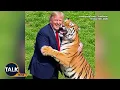 "I Found It Rather Disturbing!" | Donald Trump Shares AI Video Of Himself Fighting Tiger