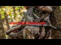 Best Tree Stand X Stand Deluxe Hunting Climbing Tree Stand