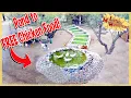 Download Lagu Can this Duck Pond Feed Our Chickens for Free? | Peek Ep408