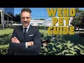 Best Dog Friendly Spots in West Hollywood 2026