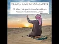 Al habib (The Loved One )  Talib Al habib Lyrics \u0026 Translation   YouTube