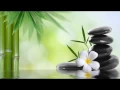 Lotus Blossom 7 Chakras Healing Chakra Balancing and Opening Kundalini Yoga