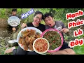 Download Lagu Cá Sặc Dính Lờ Đầy Tràn - Vợ Chồng Ku Te Lôi Nhau Ra Đồng Chiên Ăn Tại Chỗ | KuTe Vlog