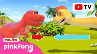 Juego de los Dinosaurios Opuestos y Más🦖 | Videos de Dinosaurios🦕 para Niños | @Pinkfong_Español