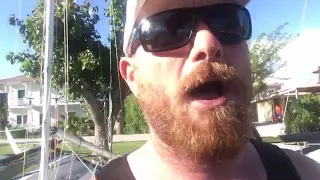 Wildwind weekly report – live!