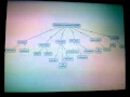 SEMANTIC MAP Conectors in words and phrases