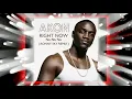 Download Lagu Akon - Right Now ( Ronny Sky Remix )