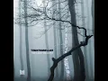 Trentemoller - While the Cold Winter Waiting