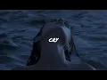 Download Lagu rihanna - cry (sped up)