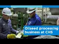 Soy processing 101