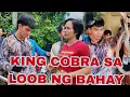 PUMASOK SA LOOB NG BAHAY ANG KING COBRA #snake #cobraprince 